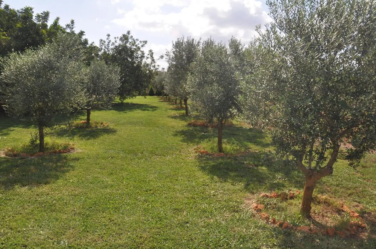 Farm stay Can Porreti Agroturisme Lloret de Vistalegre